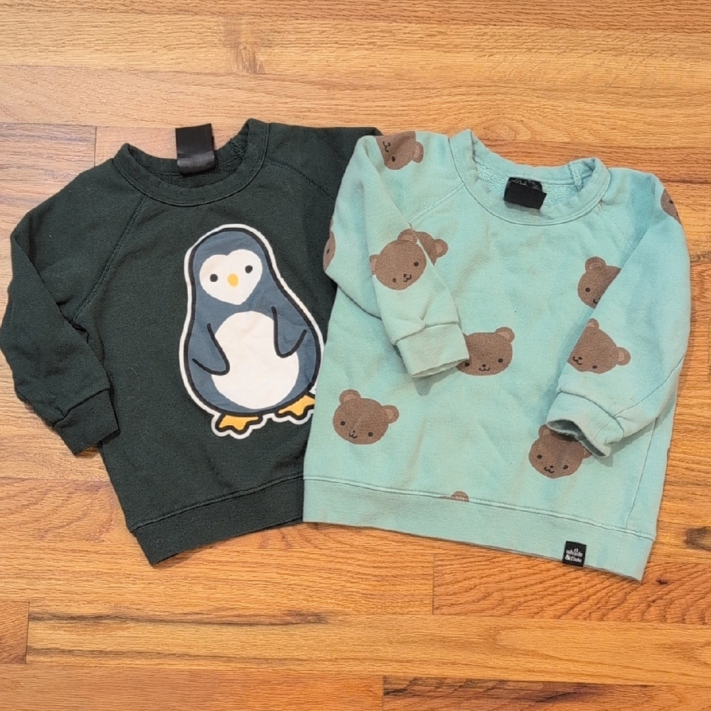Kids Penguin and Bear Sweatshirts